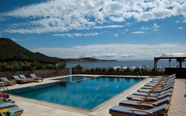 Aristo Pension