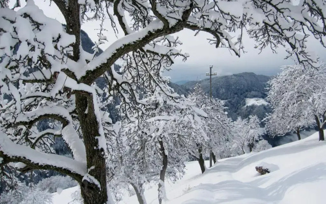 Appartment Kircherhof