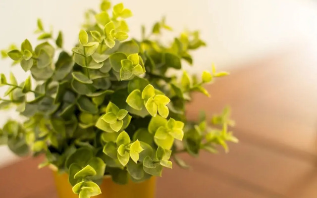 Luxurious 1 Bed Cardiff City Centre Apartment