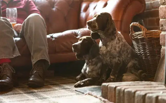 Strathcarron Camping