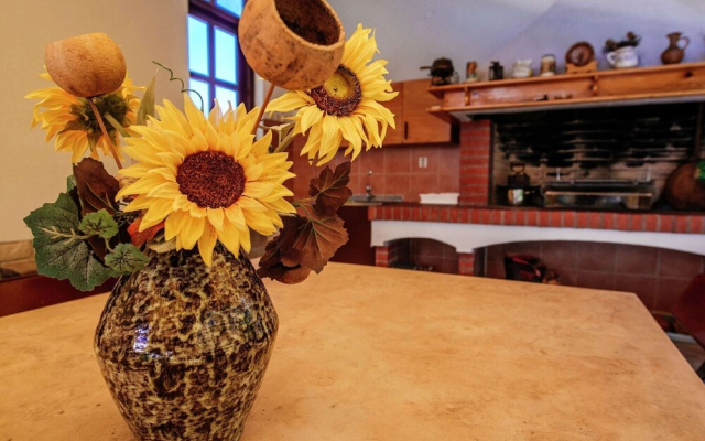 Sun Filled Apartment in Pakostane Dalmatia With Garden