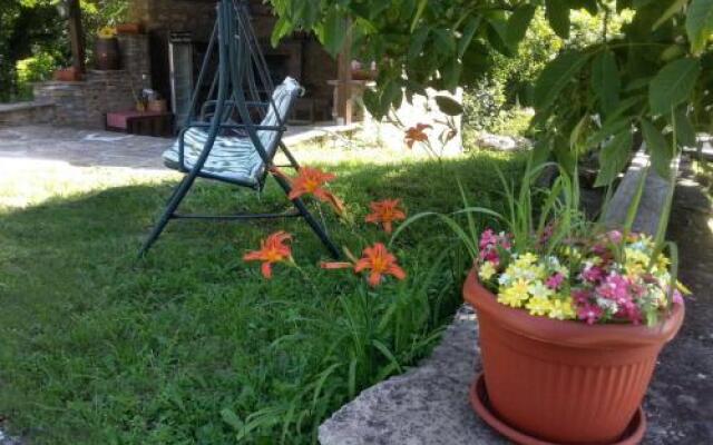 Guest House Stone Paths