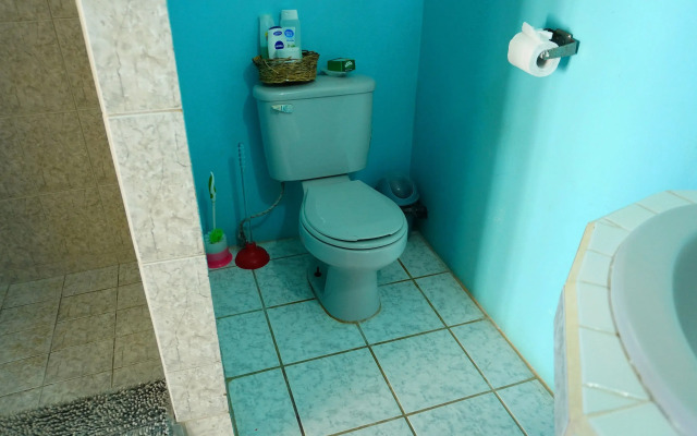See Belize Sea View BAY Studio