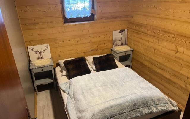 Appartements mitoyens aux SAISIES 14 PERSONNES