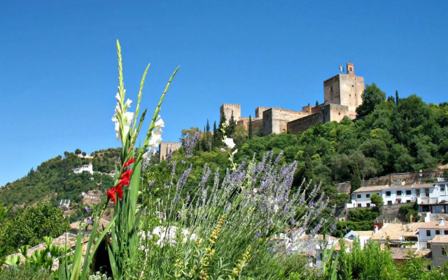 Apartamentos Muralla Zirí