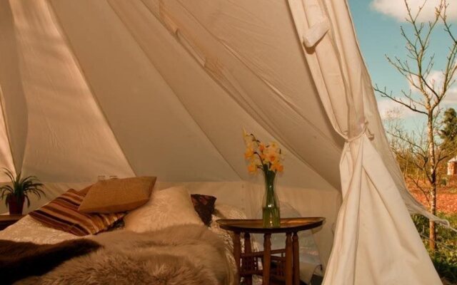 Plush Tents Glamping