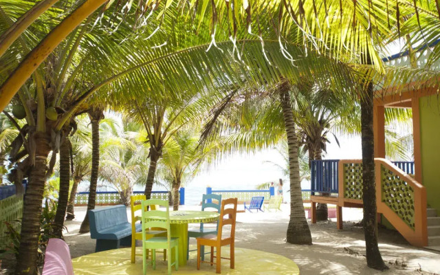 Coconut Row