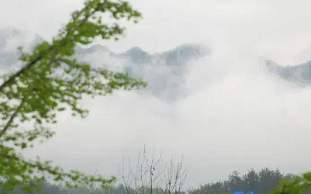 huangshanYixianguoyuanli
