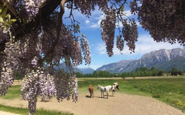 Agriturismo San Floreano