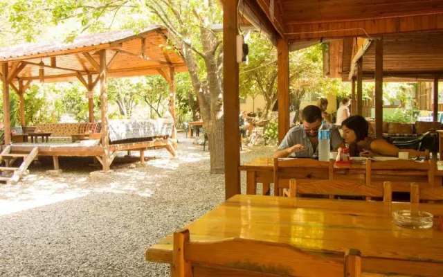 Saban Tree Houses