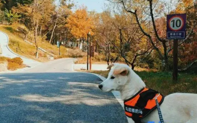 Wujian Blossom House