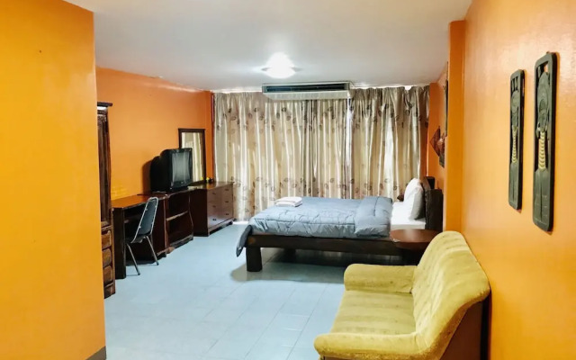 勋章菊酒店(Gazania)