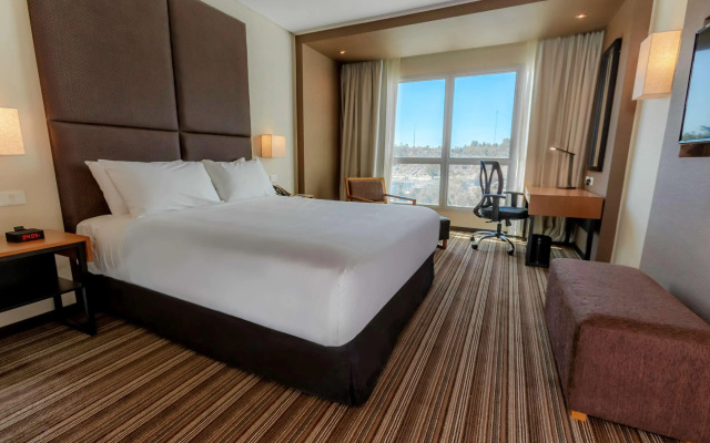 Hilton Garden Inn Neuquen