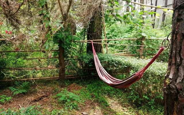 House at Shekvetili Beach
