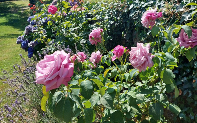 Puente Canto de Gredos