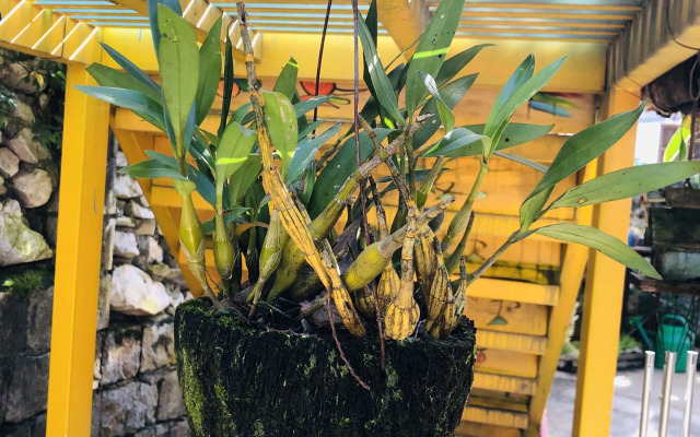 Saigonese Trekking House - Hostel