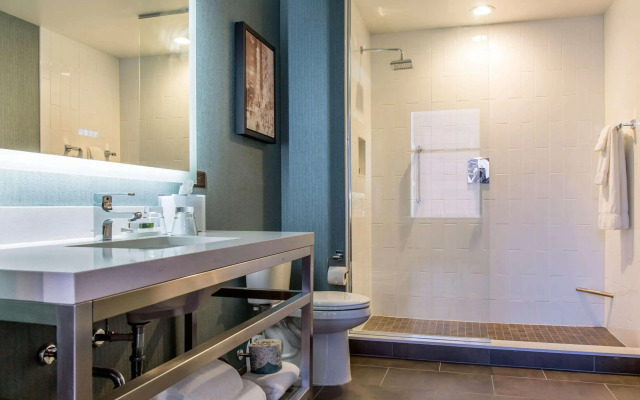 Cambria Hotel Chicago Loop - Theatre District