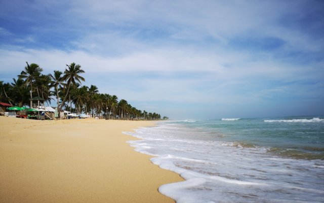 Everything Punta Cana - Top Beachfront