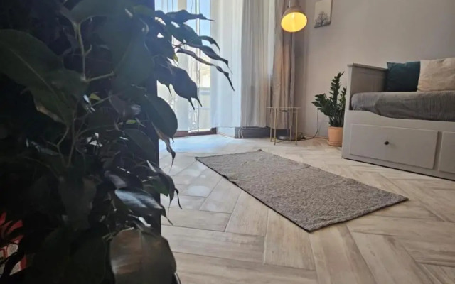 ZIG ZAG apartment 4- Old Town