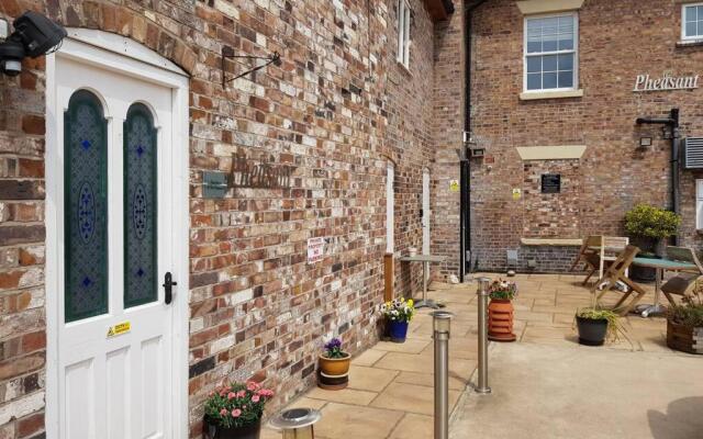 Willow Studio