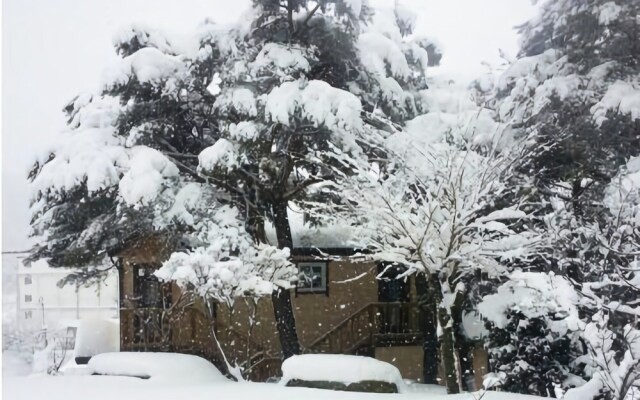 Gangneung Pine & Cinnamon Tree Pension