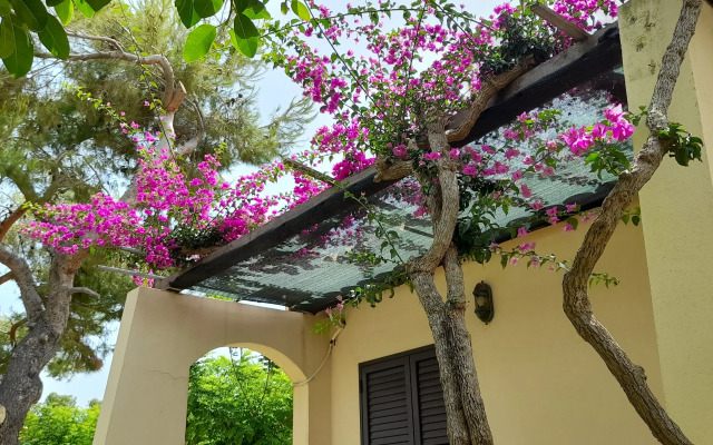 VOI Le Muse Essentia