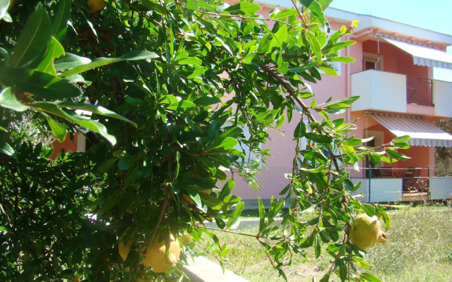 Apartments Villa Lucija