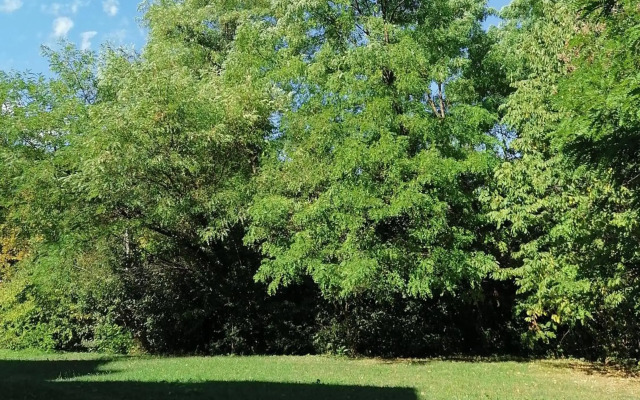 Luxury Calmness Apartment