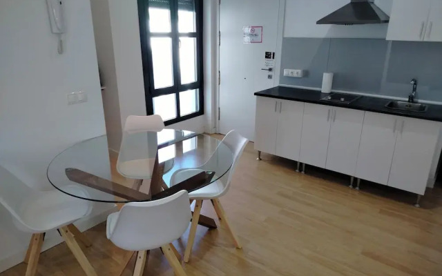 Apartamentos Centro Cordoba by MiRa