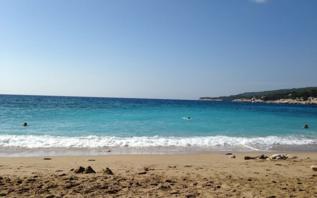 BY Cassis