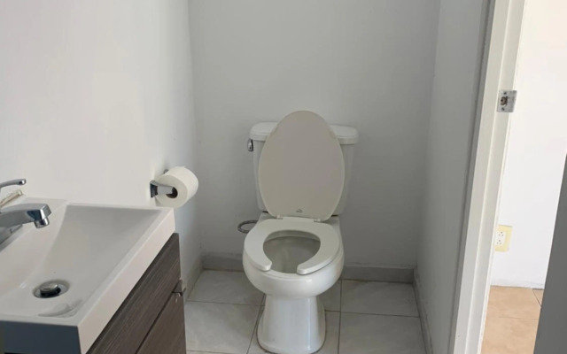 Rooftop Penthouse Lamartine Polanco