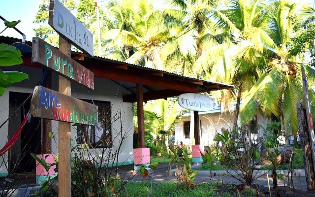 Casa Turtle Bogue - Hostel