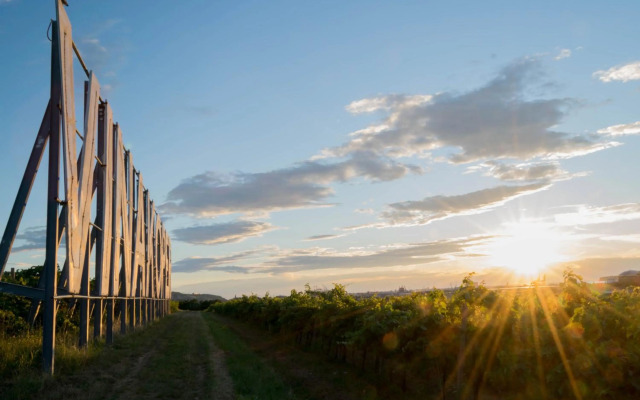 Apartment Bella Rosa