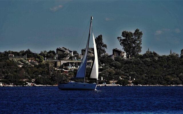 Lavender Cove