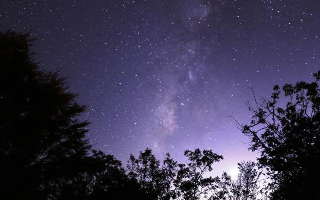 雅如小築電梯民宿