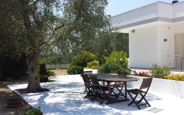 Tenuta Schiauddi