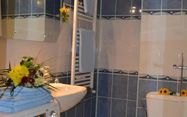 Central House Apartments Bacau