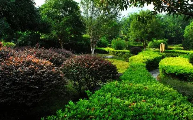 Wenquan Niaochao Hotel