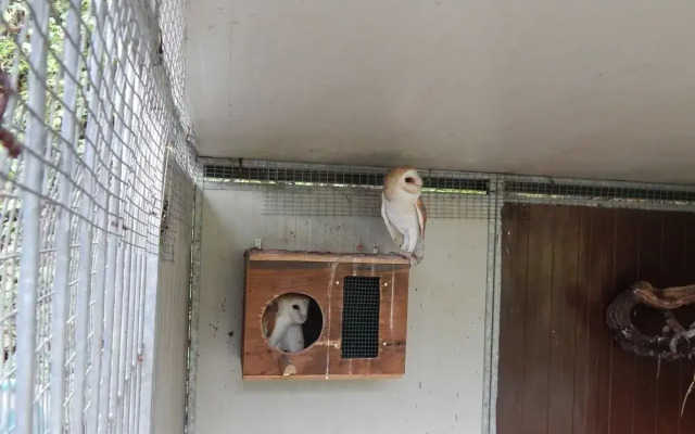 Agriturismo La Selva