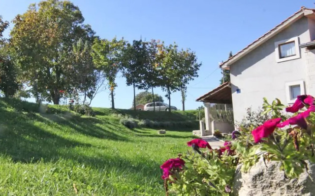 Apartment Vojskovic 101