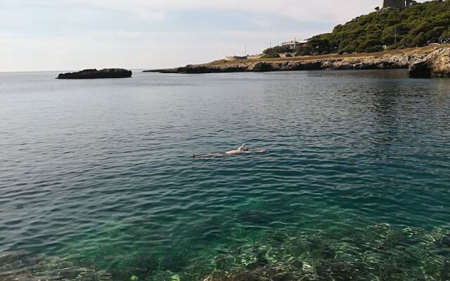 Masseria Fracchicchi