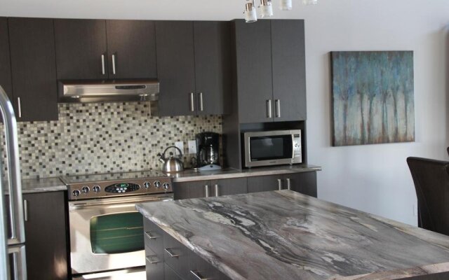 乐福布尔河滨木屋(Le Faubourg Ô Fleuve Chalets)