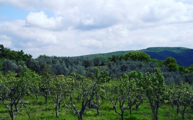 Agriturismo Sinciano