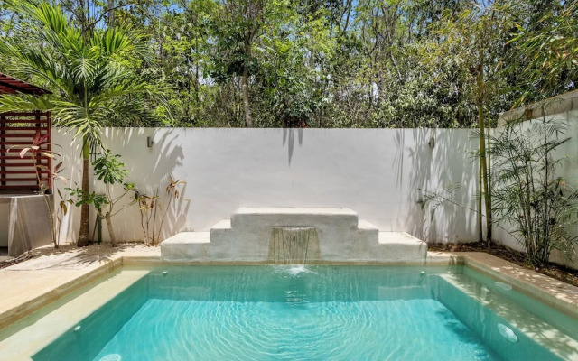 Senderos De Ciudad Mayakoba