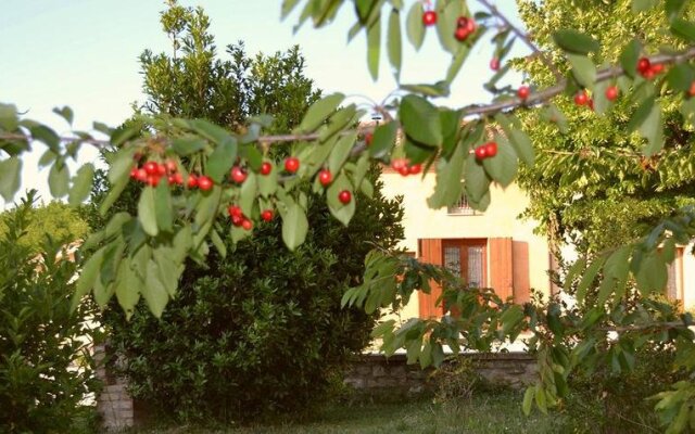 Agriturismo Collina Dei Fagiani