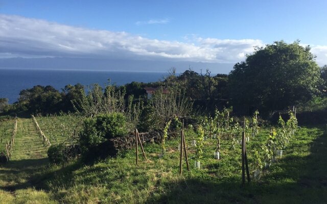 Saint Jorge Farm and Bungalows