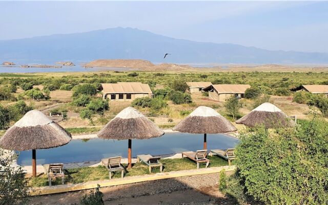 Africa Safari Lake Natron