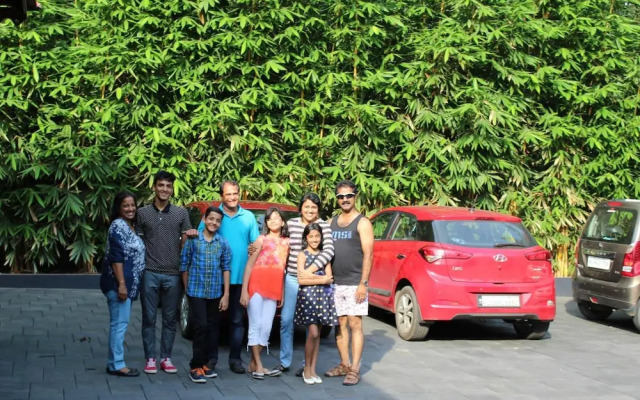 Athirapilly Green Trees