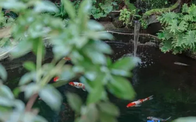 Zhuxiyuan Resort Inn