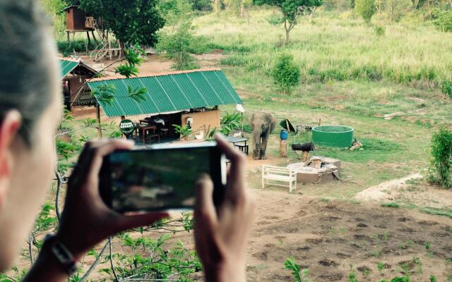 Elephant Watch Hut